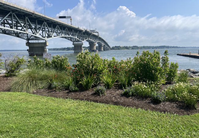 Exploring the past in Yorktown, Vayu Blog 07-13-25