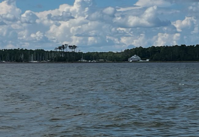 Vayu Blog 08-17-25. Coming home
